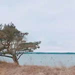 Sealoft Auf Der Ostsee Floatinghouse Trinity By Interhome Peenemunde